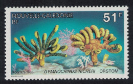 New Caledonia Marine Fauna 'Gymnocrinus Richeri' 1988 MNH SG#832 - Ongebruikt