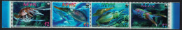Nevis WWF Caribbean Reef Squid Strip Of 4v 2009 MNH SG#2155-2158 MI#2380-2383 Sc#2380-2383 - St.Kitts Und Nevis ( 1983-...)