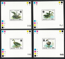 Korea Birds WWF Swan Goose 4 De-Luxes Perf 2004 MNH SG#N4450-N4453 MI#4823-4826 Sc#4399-4402 - Corea Del Nord