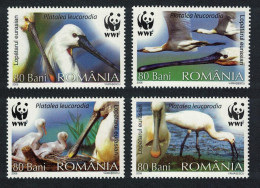 Romania WWF Eurasian Spoonbill Bird 4v 2006 MNH SG#6731-6734 - Nuovi