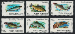 Romania Fishes 6v 1992 MNH SG#5424-5429 - Ungebraucht