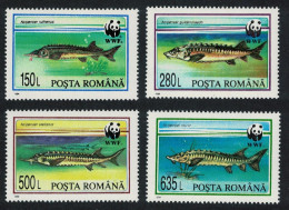 Romania WWF Sturgeons 4v 1994 MNH SG#5660-5663 MI#5034-5037 Sc#3954-3957 - Unused Stamps
