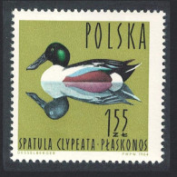Poland Common Shoveler Bird 155 Zl 1964 MNH SG#1490 Sc#1237 - Neufs