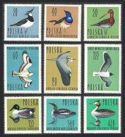 Poland Black-tailed Godwit Bird 50 Gr 1964 MNH SG#1484-1492 - Neufs