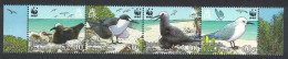 Pitcairn WWF Seabirds Strip Of 4v 2007 MNH SG#724-727 MI#717-720 Sc#647a-d - Pitcairn
