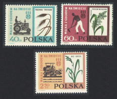 Poland Freedom From Hunger 3v 1963 MNH SG#1358-1360 Sc#1112-1114 - Unused Stamps