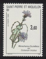 St. Pierre And Miquelon Longhorn Beetle On Cichorium Intybus 1993 MNH SG#693 - Neufs
