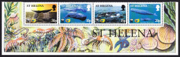 St. Helena WWF Sperm Whale Strip Of 4v Territory Name 2002 MNH SG#872-875 MI#852-855 Sc#813-816 - Saint Helena Island