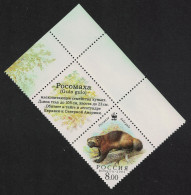 Russia WWF Wolverine Standing On Branch Animals Fauna Label 2004 MNH SG#7290 MI#1200 Sc#6857c - Unused Stamps