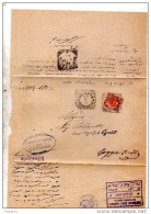 1901  LETTERA CON ANNULLO LUZZARA  REGGIO EMILIA - Marcophilie
