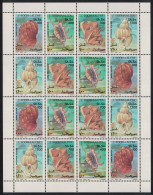 Somalia Shells 4v Sheetlet 1994 MNH MI#507-510 - Somalie (1960-...)