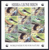 Sierra Leone Birds WWF White-necked Picathartes Imperf Sheetlet Of 3 Sets 1994 MNH SG#2150-2153 - Sierra Leone (1961-...)