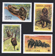 Sierra Leone WWF Chimpanzee 4v 1983 MNH SG#745-748 MI#713-716 Sc#586-589 - Sierra Leone (1961-...)