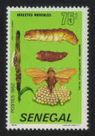 Senegal 'Rhaguva Albipunctella' Harmful Insect 1982 MNH SG#748 MI#767 - Sénégal (1960-...)