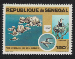 Senegal Cormorant Tropicbird Birds 150f 1981 MNH SG#732 MI#744 - Senegal (1960-...)