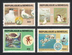 Senegal Terns Gulls Cormorant Birds Turtle Crab National Parks 4v 1981 MNH SG#729-732 MI#741-744 - Senegal (1960-...)