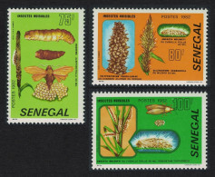 Senegal Harmful Insects 3v 1982 MNH SG#748-750 MI#767-769 - Sénégal (1960-...)