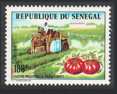 Senegal Tomato Production 1976 MNH SG#614 MI#619 - Sénégal (1960-...)