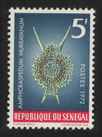 Senegal 'Amphicraspedum Murrayanum' Protozoans Marine Life 1972 MNH SG#507 MI#505 - Senegal (1960-...)