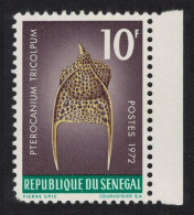 Senegal 'Pterocanium Tricolpum' Protozoans Marine Life Def 1972 SG#508 MI#506 - Senegal (1960-...)