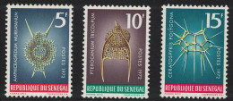 Senegal Protozoans And Marine Life 3v 1972 MNH SG#507-509 MI#505-507 - Sénégal (1960-...)