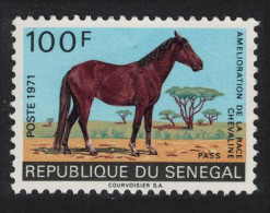 Senegal Horse-breeding Improvement Campaign Pass 1971 MNH SG#453 - Sénégal (1960-...)