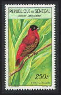 Senegal Red Bishop Bird 250F 1960 MNH SG#237 - Sénégal (1960-...)