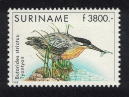 Suriname Green-backed Heron Bird 1998 MNH SG#1770 - Suriname