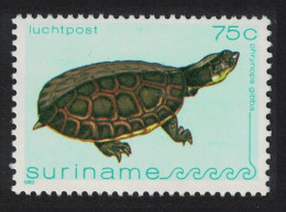 Suriname Turtle 'Phrynops Gibba' 1982 MNH SG#1070 - Surinam
