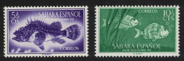 Spanish Sahara Red Scorpionfish Zebra Seabreams Fish 2v 1953 MNH SG#105-106 MI#139-140 - Sahara Spagnolo