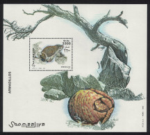 Somalia Armadillo MS 2003 MNH - Somalia (1960-...)