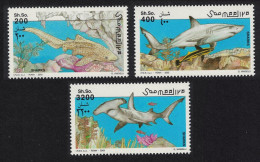 Somalia Sharks 3v 2003 MNH - Somalie (1960-...)