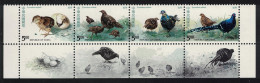 Taiwan Mikado Pheasant Birds 4v Strip With Tabs 1993 MNH SG#2161-2164 - Neufs