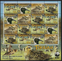 Tokelau Birds WWF Pacific Golden Plover Sheetlet Of 4 Sets 2007 MNH SG#382-385 MI#368-371 Sc#349-352 - Tokelau