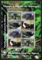 Togo WWF Senegal Flapshell Turtle MS 2006 MNH MI#3337-3340 Sc#2039a-d - Togo (1960-...)