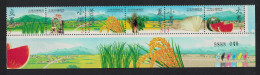 Taiwan Watermelons Seasonal Periods Of Summer Strip Of 6v 2000 MNH SG#2636-2641 - Ongebruikt