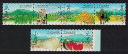 Taiwan Watermelons Seasonal Periods Of Summer 6v 2000 MNH SG#2636-2641 - Nuovi