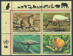 UN Geneva Prairie Dog Whale Golden Langur Jabiru Bird Block Of 4v 1994 MNH SG#G246-G249 MI#245-248 Sc#249a - Autres & Non Classés