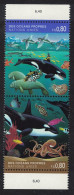 UN Geneva Sea Life Whale Dolphin Octopus 1992 MNH SG#G214-G215 - Other & Unclassified
