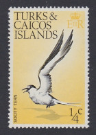 Turks And Caicos Sooty Tern Bird 1973 MNH SG#381 - Turks E Caicos