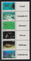 Wallis And Futuna Fish Shells Corals Undersea Fauna Strip Right Labels 1981 MNH SG#370-375 Sc#269a - Ungebraucht