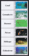 Wallis And Futuna Fish Shells Corals Undersea Fauna Strip Of 6v Left Labels 1981 MNH SG#370-375 Sc#269a - Ungebraucht