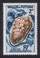 Wallis And Futuna Shells 2Fr 1962 MNH SG#175 Sc#161 - Unused Stamps