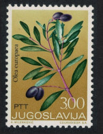 Yugoslavia Olive Medicinal Plant 1973 MNH SG#1557 - Autres & Non Classés