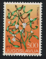 Yugoslavia Mistletoe Medicinal Plant 1973 MNH SG#1559 - Autres & Non Classés