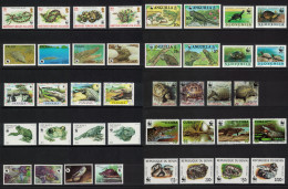 WWF Reptiles And Amphibians Big Collection WWF T6 2000 MNH - Collections (without Album)