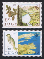 Yugoslavia Monk Seal Trees Nature Protection 2v 1982 MNH SG#2037-2038 Sc#1584-1585 - Sonstige & Ohne Zuordnung
