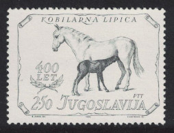 Yugoslavia Horses Lipica Stud Farm 1980 MNH SG#1940 - Other & Unclassified