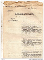 1866 BELLUNO LISTE ELETTORALI POLITICHE - Historische Documenten