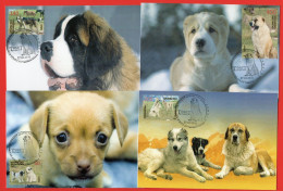 Kazakhstan 2016. 4 Maxicard. Fauna. The Tobet Dogs.  Maximum Cards - Kazakhstan